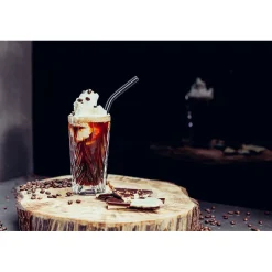 CUISINEADDICT Accessoires Bar|Paille Réutilisable en Verre 23cm courbée x6 HALM