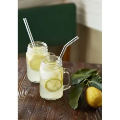 CUISINEADDICT Accessoires Bar|Paille Réutilisable en Verre 23cm courbée x6 HALM