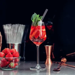 CUISINEADDICT Accessoires Bar|Paille Réutilisable en Verre 20cm droite x4 HALM