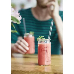 CUISINEADDICT Accessoires Bar|Paille Réutilisable en Verre 20cm droite x4 HALM