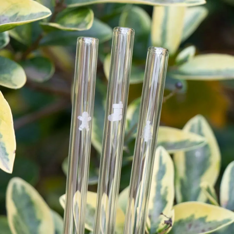 CUISINEADDICT Accessoires Bar|Paille Réutilisable en Verre Noël 20cm droite x6 HALM
