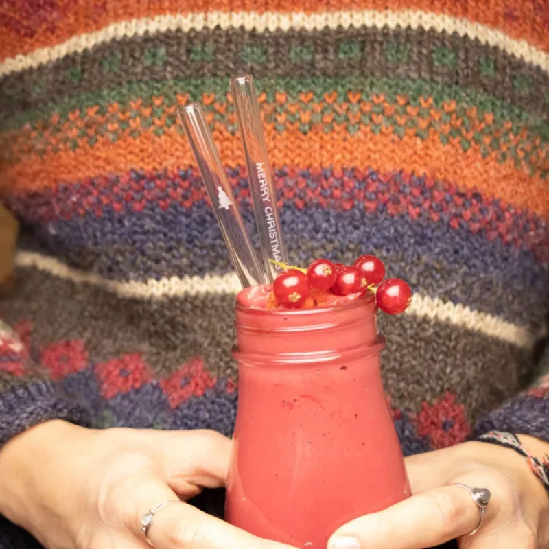 CUISINEADDICT Accessoires Bar|Paille Réutilisable en Verre Noël 20cm droite x6 HALM