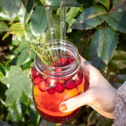 CUISINEADDICT Accessoires Bar|Paille Réutilisable en Verre Noël 20cm droite x6 HALM