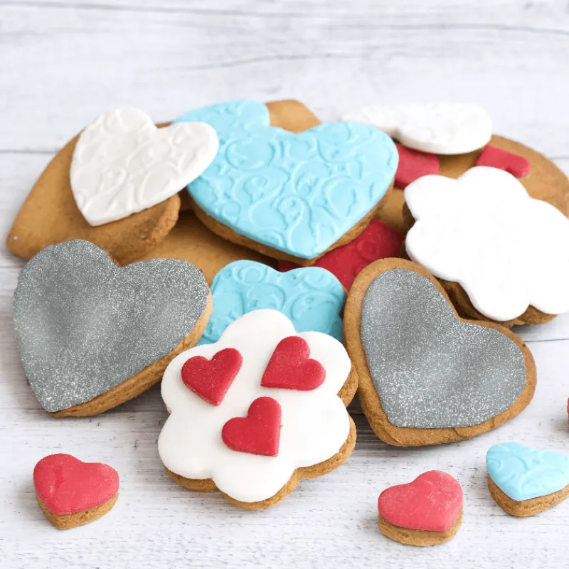 PATISDECOR Colorants Alimentaires|Peinture Alimentaire Argentée 63 g Patisdécor