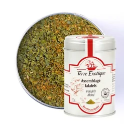 TERRE EXOTIQUE Marinade, Mélange Epices|Epices|Épices pour Falafels 25 g