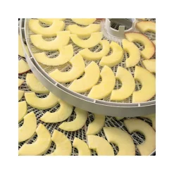 EZIDRI Déshydrateur|Plateaux (x2) pour Déshydrateur ULTRA1000