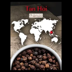 PEUGEOT Moulin|Poivre|Poivre Noir du Vietnam Tan Hoi Sachet 20 g (x4)