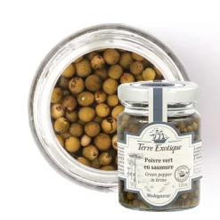 TERRE EXOTIQUE Poivre|Poivre Vert en Saumure 50 g