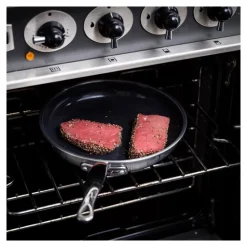 GREENPAN Poêles|Poêle à Frire Inox Ø 20 cm PREMIERE