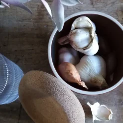 EMILE HENRY Conservation|Pot à Ail en Céramique 0,94 l Argile