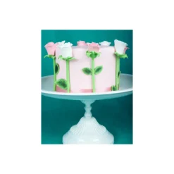 FUNCAKES Colorants Alimentaires|Poudre comestible Vert houx 1,2 g