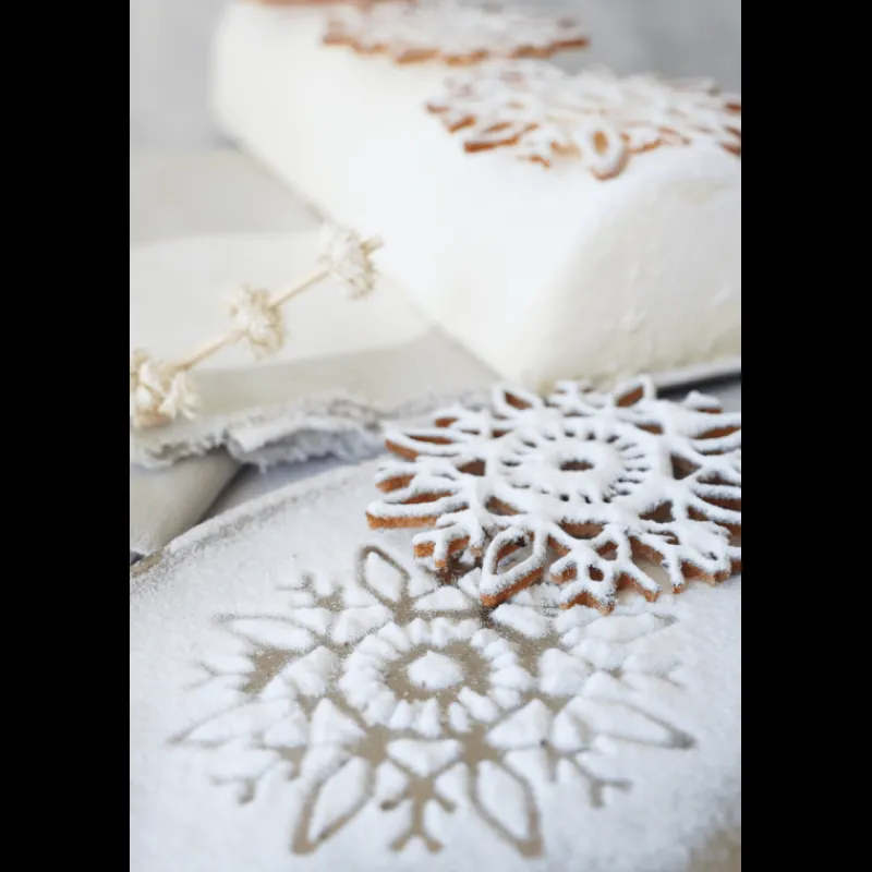 SCRAPCOOKING Colorants Alimentaires|Décoration Comestible|Poudre Velours Neige Etincelante 100 g