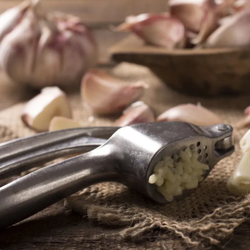 PATISDECOR Presse Purée Et Moulin Légumes|Presse-Ail en Inox Patisdécor