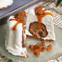 PATISDECOR Préparation Pâtisserie|Préparation Bavarois Neutre 100 g Patisdécor