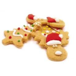 SCRAPCOOKING Produits Bio|Préparation Pâtisserie|Préparation Biscuits de Noël 291 g