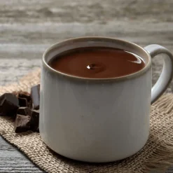 PATISDECOR Préparation Pâtisserie|Préparation Instantanée pour Boisson Cacao Intense 300 g Patisdécor