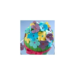 RENSHAW Pâte À Sucre|Pâte à Sucre Pro Noir 250g