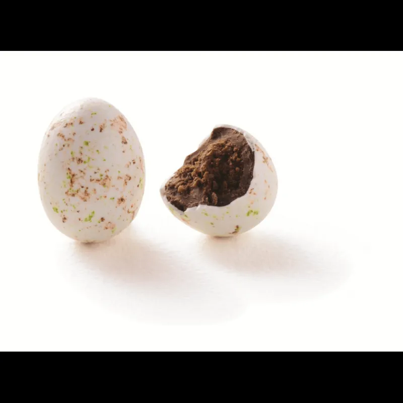 REVILLON Confiserie|Œufs en Chocolat Praliné 2,5 kg Révillon